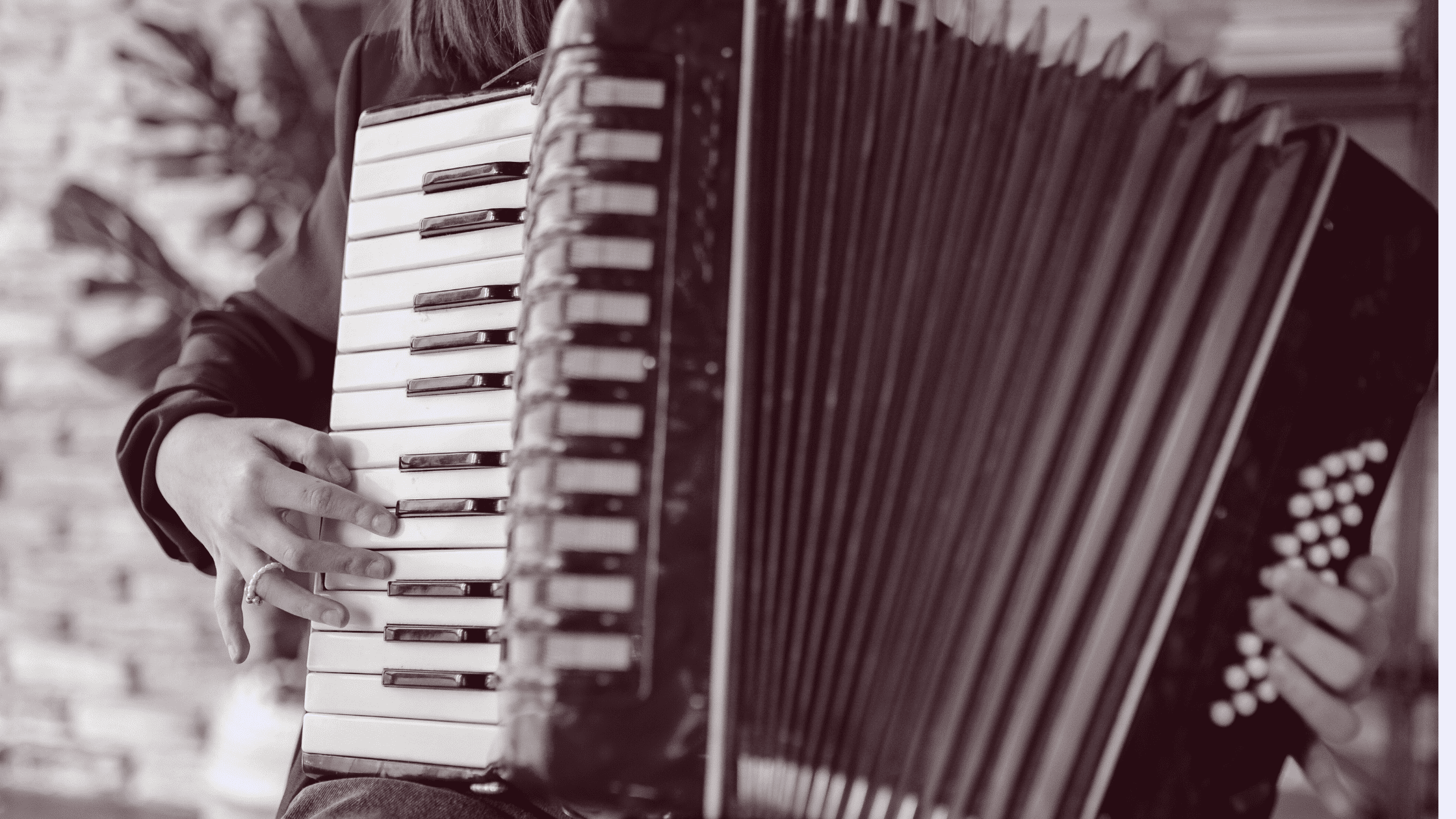 An accordion playing folk music.